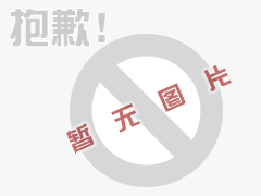 罰沒車輛低價拍賣